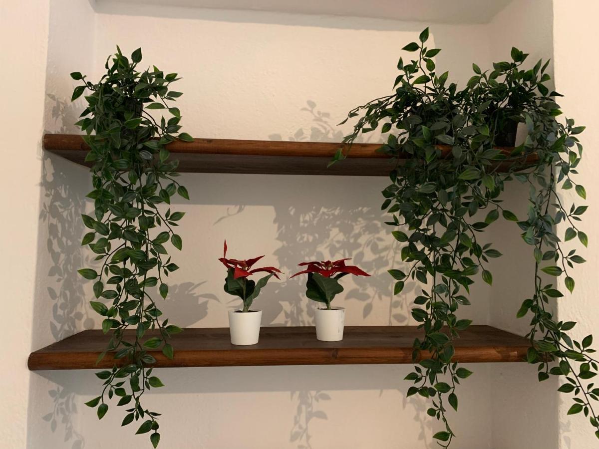 La Casa Di Ale Nel Centro Storico Di Cagliari Apartment Bagian luar foto